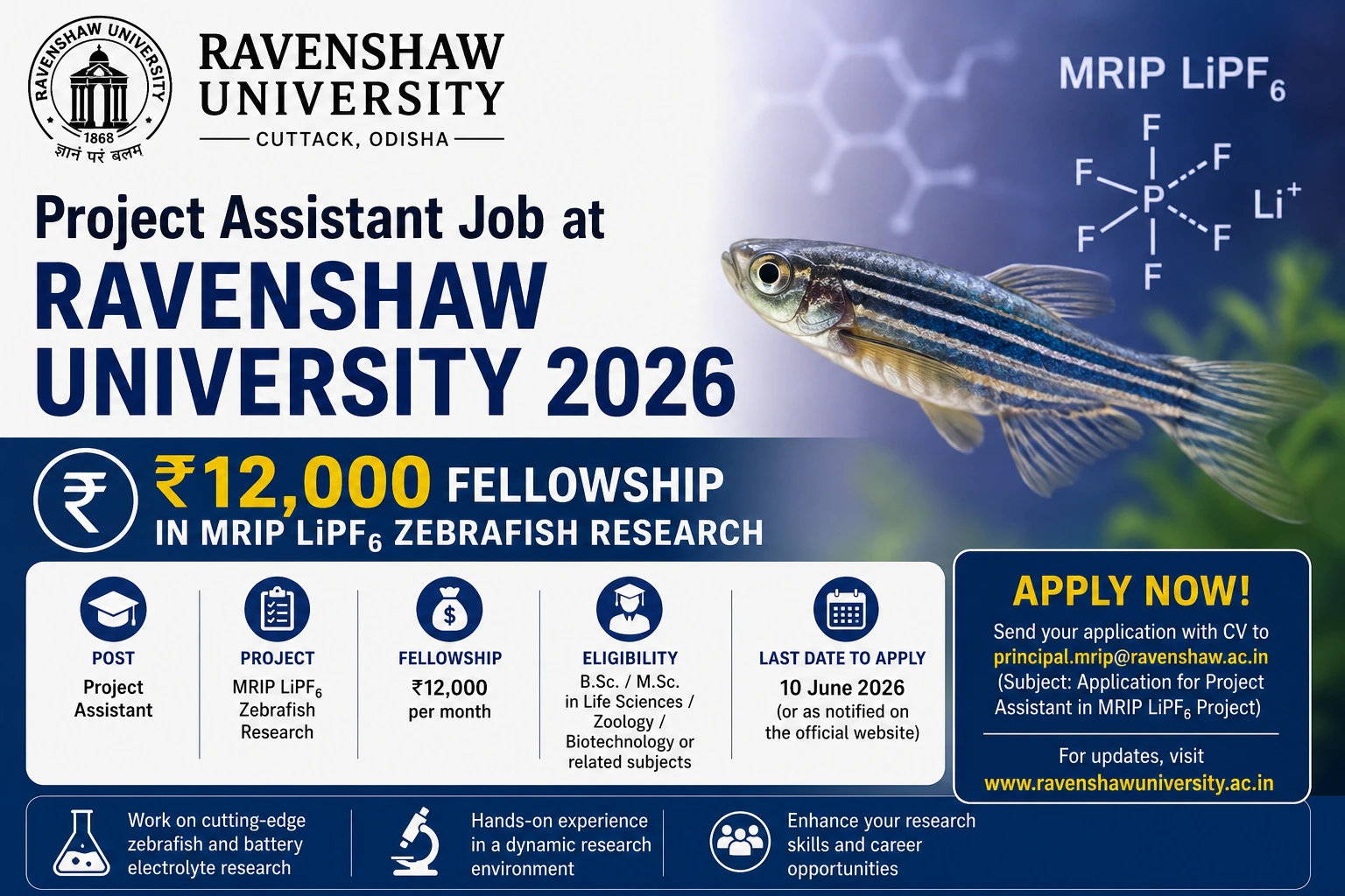 Project Assistant Job at Ravenshaw University 2026 ₹12,000 Fellowship in MRIP LiPF6 Zebrafish Research
